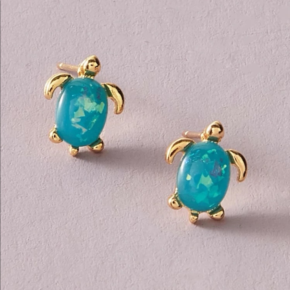 🎉 New Blue & Gold Turtle Earrings set
